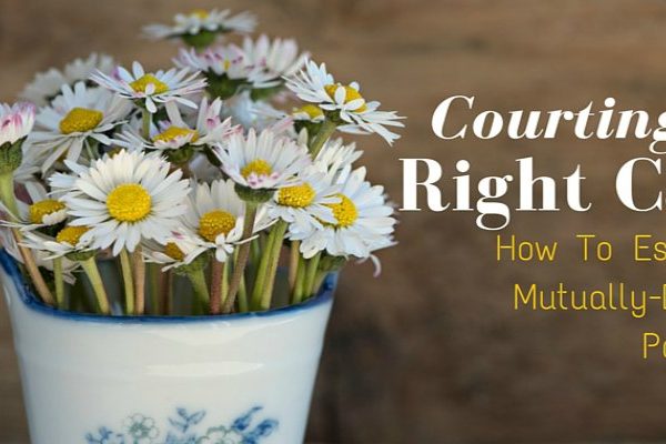 [Guest Post] Courting The Right Cause: How To Establish A Mutually-Beneficial Partnership