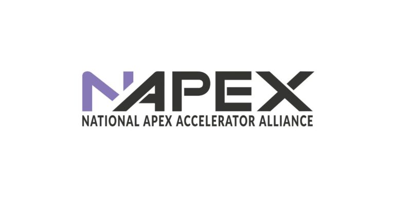 NAPEX logo
